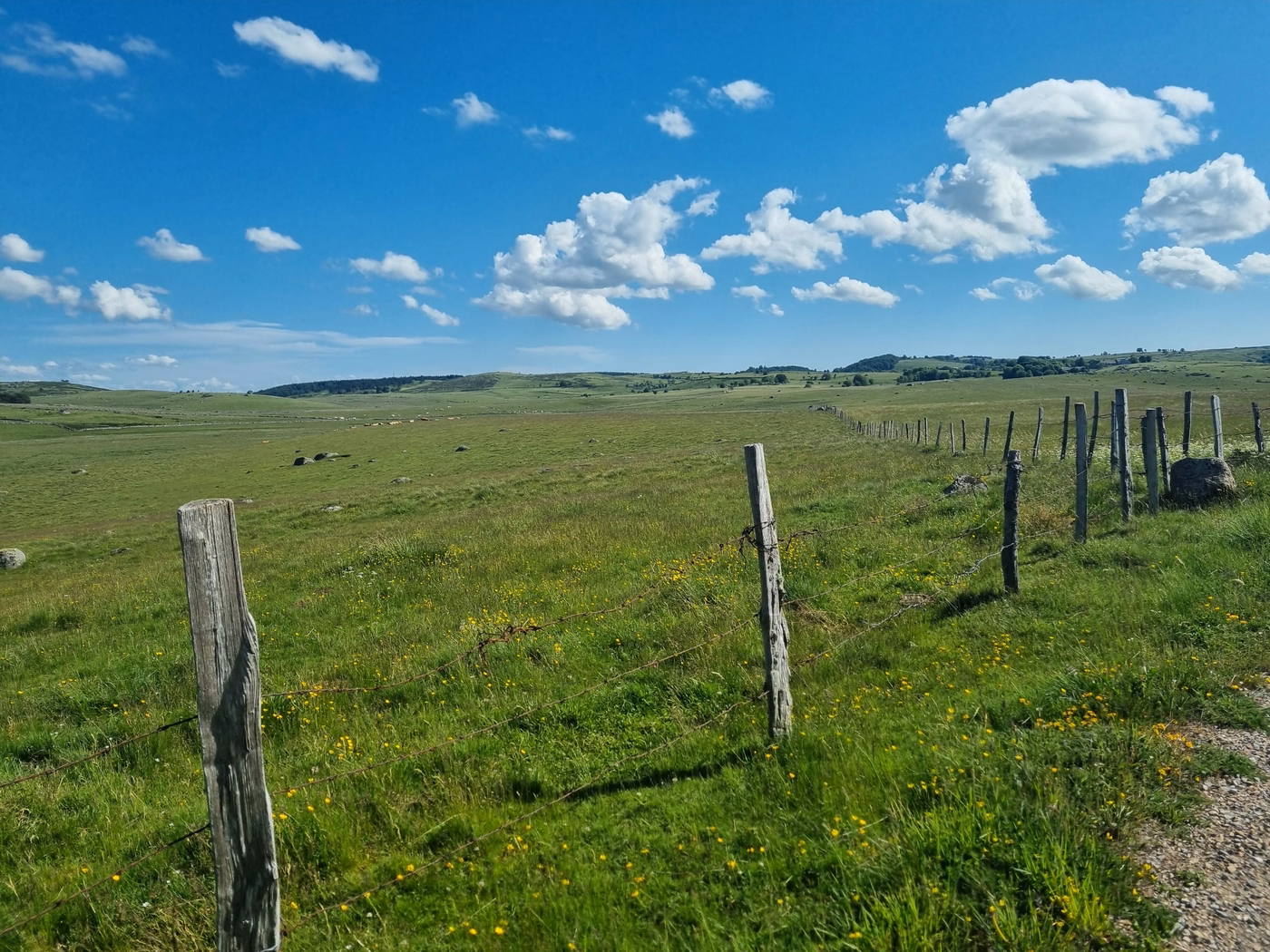 Zigzags en Aubrac à dos de Gravel