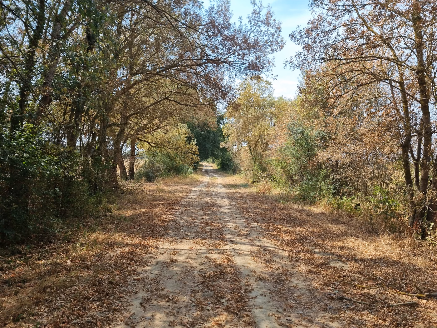 Sur les traces du Toulouse Grand Tour 200km